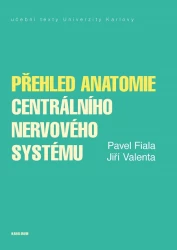 Přehled anatomie centrálního nervového systému