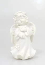 Anjel (ZY17070W)B