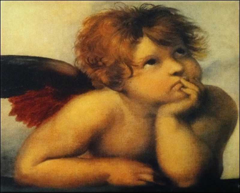 Obraz na plátne: Anjel 1 (Michelangelo)
