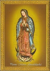 Obrázok s modlitbou A6 Panna Mária Guadalupská