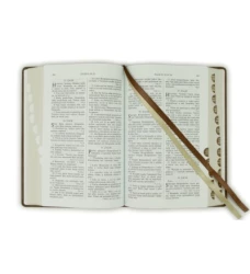 Svätá biblia / Roháčkov preklad, s indexami, pevná väzba, tmavohnedá