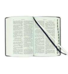 Svätá biblia / Roháčkov preklad, s indexami, tmavosivá