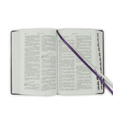 Svätá biblia / Roháčkov preklad, s indexami, pevná väzba, tmavofialová