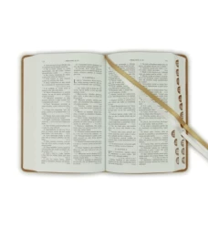 Svätá biblia / Roháčkov preklad, s indexami, bledohnedá