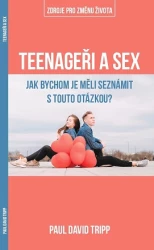 Teenageři a sex